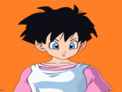 videl Meme Template