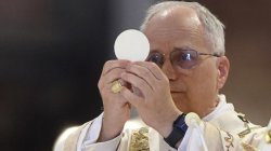Pope Leo Holding Up Image Meme Template