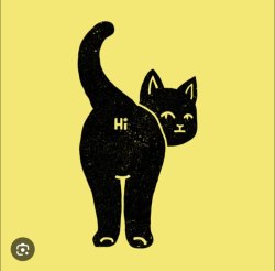 Cat butt Meme Template