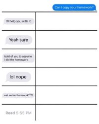 can i copy your homework? Meme Template