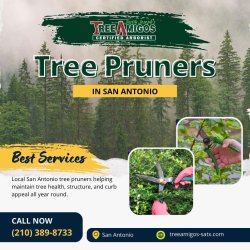 Tree Pruners in San Antonio Meme Template
