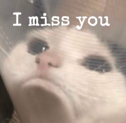 I miss you Meme Template