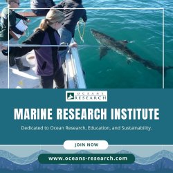 Marine Research Institute Meme Template