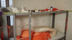 Epstein Rack Parody Meme Template