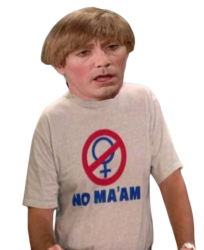 Stewart madtv - Al Bundy - no ma'am Meme Template