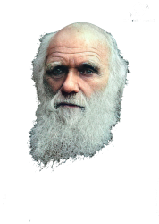 Charles Darwin Head Meme Template
