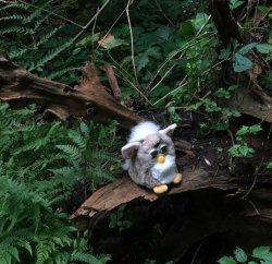 hunger games furby Meme Template