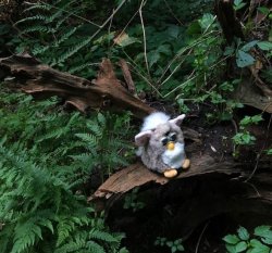 hunger games furby Meme Template