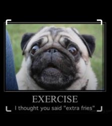 Dumb fat pug Meme Template
