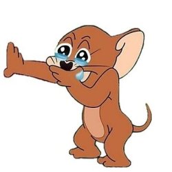 Jerry Crying Meme Template
