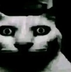Uncanny cat Meme Template