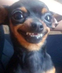 smile Meme Template