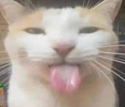 Goingle Meme Template