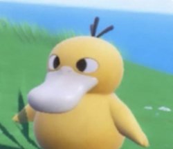 crosseye duck Meme Template