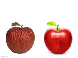comparison apples Meme Template