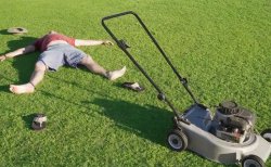 Lawnmower man crash & burn Meme Template