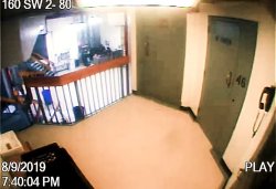 Epstein cell door video Meme Template