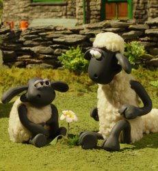 Shaun and Timmy Meme Template