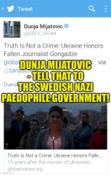 Dunja Mijatovic - Sweden Nazi Government Meme Template