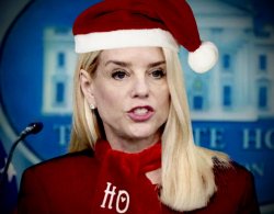 Stop Trying to Make Pam Bondi Happen Meme Template