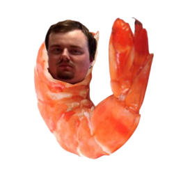 Coon shrimp Meme Template
