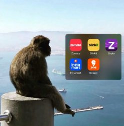 blinkit monkey Meme Template