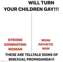 bisexual propaganda Meme Template