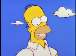 Homer Simpson Meme Template