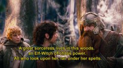 A great sorceress lives in this woods Meme Template