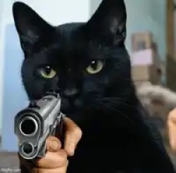 Black cat gun demand Meme Template
