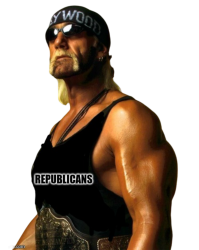 Hollywood Hulk Hogan NWO Republican Meme Template