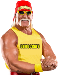 Hulk Hogan Democrats Meme Template