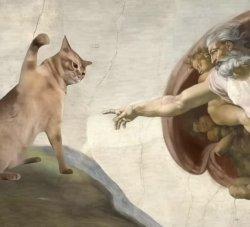 cat vs God Meme Template