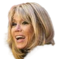 brigette macron Meme Template