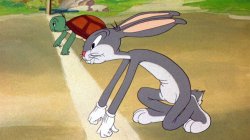 turtle vs hare Meme Template