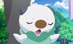 Oshawott shrug Meme Template