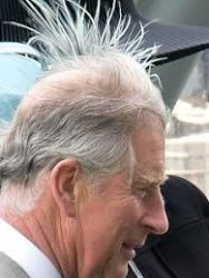 Nice Comb Over Meme Template