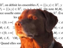 dog maths Meme Template