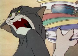 tom Meme Template