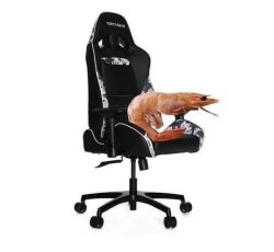 Shrimp chair Meme Template