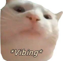vibing cat Meme Template
