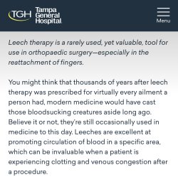Tampa General Hospital Leech Facts Meme Template
