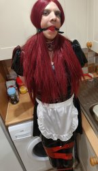 Sissy tied up Meme Template