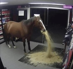 Horse vomiting Meme Template