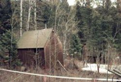 Ted Kaczynski Cabin Meme Template