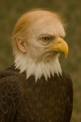 Confused Patriot Meme Template