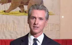 Vapid Gavin Newsom Meme Template
