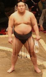 Sumo El Meme Template