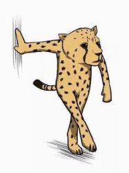leopard draft wrong Meme Template