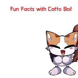 Fun facts with catto boi Meme Template